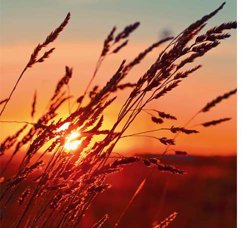 Carbon.zeo. Комбинированный фильтр