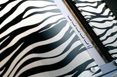 Вытяжка Falmec Mirabilia 67 ZEBRA vetro (800)